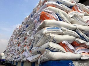 Pemerintah Siapkan Impor Beras 200 Ribu Ton, Sudah Dibeli Tinggal Kirim!