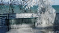 Ketika pohon, pagar dan kursi di sekitar Danau Leman membeku. REUTERS/Denis Balibouse.