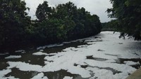 Pembaca detikcom mengaku resah dengan kemunculan busa di Kali Sunter itu. Menurutnya busa itu menjadikan Kali Sunter tidak sedap dipandang. Foto ini diambil Senin, 12 Februari 2018. (Foto: Alpin Arapli/pembaca detikcom)