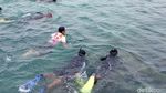 Aksi Sandiaga Terjun dari Jembatan Cinta dan Renang di Pulau Tidung