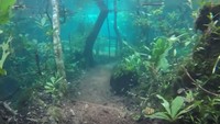 Foto: Recanto Ecologico Rio da Prata merupakan kawasan hutan yang berada di Jardim, Kota di Brasil. Rupanya kawasan hutan ini mengalami hujan lebat dan mengakibatkan banjir. (Recanto Ecologico Rio da Prata/Youtube)
