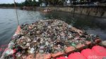 Petugas Berjibaku Membersihkan Danau Sunter dari Sampah