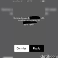 Ragu-Ragu Sudah Registrasi Prabayar atau Belum, Ini Tipsnya
