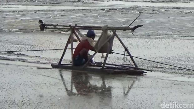 Musim Panen Rebon yang Tak Lagi Menggairahkan di Perairan Rembang