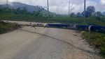 Penampakan Terbelahnya Jalan di Papua Pasca Diguncang Gempa