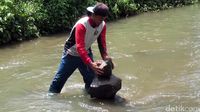 Hanya Dalam Satu Menit, Rahmat Susun Batu di Sungai Cidahu