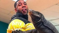 Sebenarnya, hewan yang ia gendong adalah black dragon yang masih satu famili dengan komodo (@therealtarzann/Instagram)  