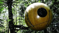 Seperti bola raksasa, rumah kayu ini kokoh dibangun di antara pepohonan. Istimewa/Freespiritspheres.