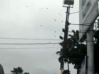 Serupa tapi Tak Sama, Ini Deretan Aksi Hamburkan Uang