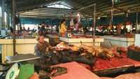 Mulai dari tikus, monyet, kelelawar, sampai anjing dan kucing dijual di sini (Usman Hadi/detikTravel)