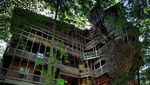 Ini Rumah Pohon yang Paling Amazing