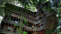 Rumah pohon ini merupakan salah satu tertinggi di dunia. Istimewa/Imgur.