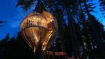 Ini Rumah Pohon yang Paling Amazing