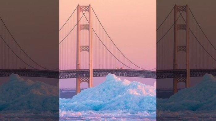 es biru langka di Michigan AS