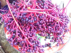 Buah Parijoto Khas Gunung Muria dengan Segala Cerita di Dalamnya