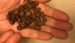 Pecinta Kopi, Begini 10 Gaya Ngopi Triawan Munaf yang Kekinian