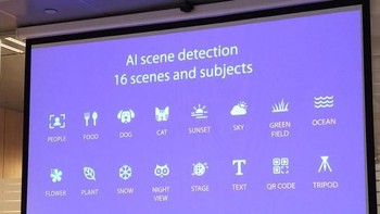 Di kamera milik Zenfone 5, Asus membenamkan teknologi kecerdasan buatan yang bisa mengenali beragam objek. (foto: Anandtech)
