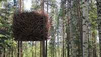 Bukan sarang burung, ini rumah pohon yang ada di Swedia Istimewa/Inredningsgruppen.