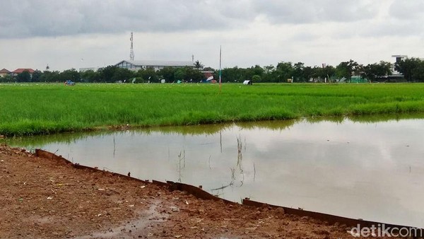 Rumah DP Rp 0 di Cilincing Dibangun di Lahan Bekas Sawah