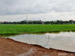 Prabowo Larang Bangun Rumah di Sawah, KPA: Kebijakan Positif, tapi...