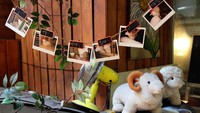Pertama kali dibuka tahun 2011, kafe ini langsung popular setelah menjadi lokasi syuting acara realita We Got Married yang terkenal di Korea. Foto: Istimewa