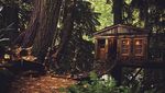 Ini Rumah Pohon yang Paling Amazing