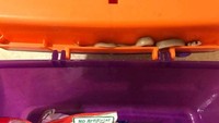 S eorang ibu di Adelaide, Australia Selatan, menemukan bayi ular coklat jenis ular berbisa paling mematikan di Australia bersembunyi di pinggiran kotak makan siang anaknya. (Foto: Australia Plus ABC)