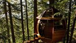 Ini Rumah Pohon yang Paling Amazing