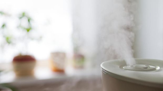 Humidifier spreading steam into the living room