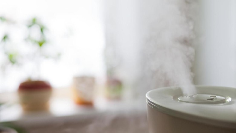3 Hal yang Diperhatikan Sebelum Pakai Humidifier di Kamar Anak/ Foto: Thinkstock 3 Hal yang Diperhatikan Sebelum Pakai Humidifier di Kamar Anak/ Foto: Thinkstock