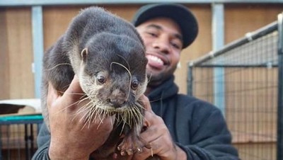 Foto: Kenalan Lebih Dekat Sama Si Pria yang Gendong Komodo