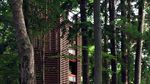 Ini Rumah Pohon yang Paling Amazing