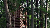 Rumah pohon model minimalis ini dibangun di Kanada. Istimewa/Imgur.