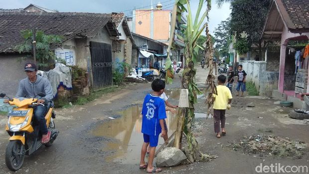 Pohon Pisang Hiasi Jalan Rusak di Cihampelas Bandung Barat