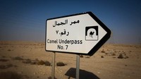 Salah satu tanda yang mengarah ke sana adalah papan bertuliskan Camel Underpass No. 7 (Barry Neild/CNN)