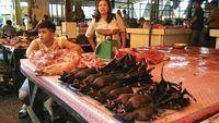 Daging tikus hutan dan kelelawar (Usman Hadi/detikTravel)