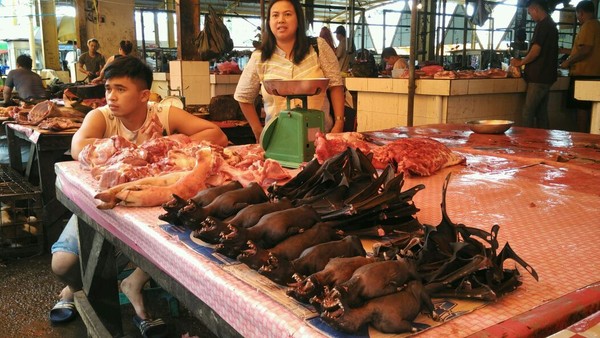 Di pasar  Tomohon ini para pedagangnya menjual beragam daging hewan, mulai dari yang umum sampai yang tidak umum. Sebut saja babi, anjing, kelelawar, tikus hutan, ular, biawak, dan hewan lainnya. (Usman Hadi/detikTravel)