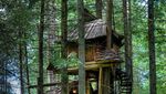 Ini Rumah Pohon yang Paling Amazing