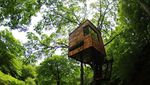 Ini Rumah Pohon yang Paling Amazing