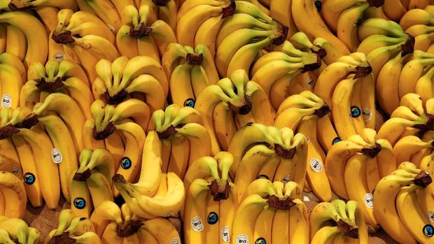 FILE PHOTO: Organic bananas are pictured in an organic supermarket in Berlin, Germany, January 31, 2013. REUTERS/Fabrizio Bensch