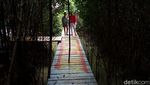 Foto: Hutan Mangrove Kekinian di Demak