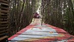 Foto: Hutan Mangrove Kekinian di Demak