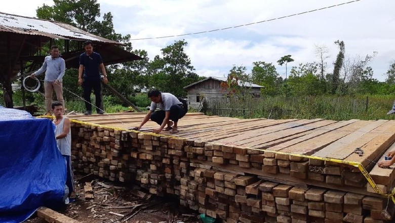 Polda Kalbar Amankan 5.000 Batang Kayu Belian dan Meranti Ilegal Polda Kalbar Amankan 5.000 Batang Kayu Belian dan Meranti Ilegal