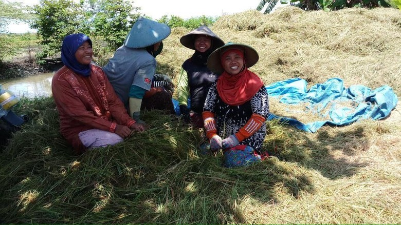 Nilai tukar valas di thailand