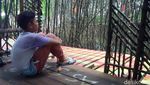 Foto: Hutan Mangrove Kekinian di Demak