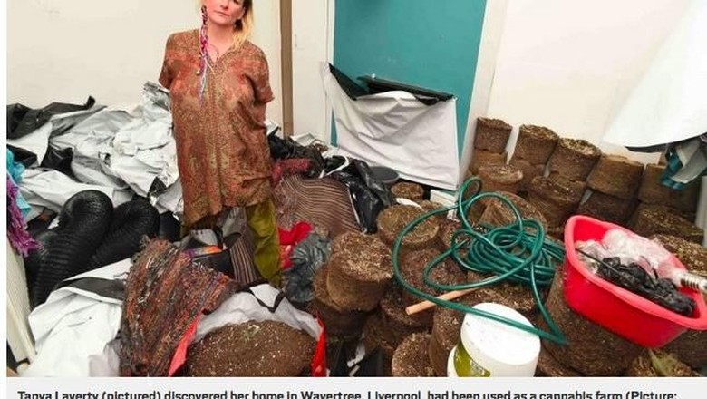 Foto: Rumah yang ditinggali dengan ratusan ganja (Screenshot Metro) Foto: Rumah yang ditinggali dengan ratusan ganja (Screenshot Metro)