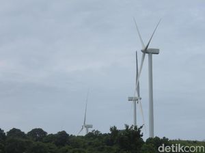 Proyek Kebun Angin Raksasa Kebanggaan Jokowi Capai 98%