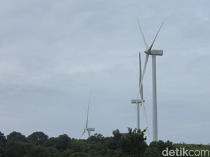 Proyek Kebun Angin Raksasa Kebanggaan Jokowi Capai 98%