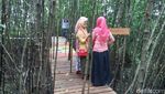 Foto: Hutan Mangrove Kekinian di Demak