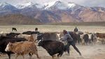 Potret Atap Dunia dari Tajikistan